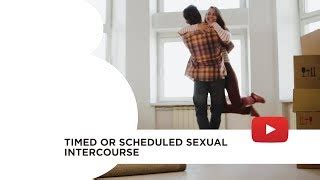 human intercourse videos|Sexual Intercourse Video Footage – Browse 154,405 HD Stock .